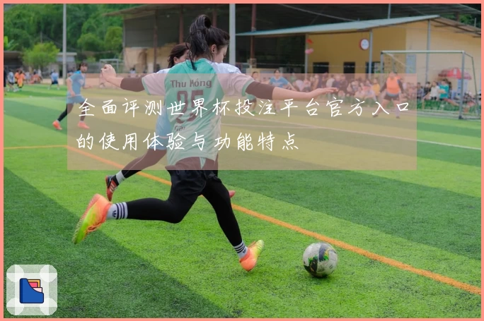 全面评测世界杯投注平台官方入口的使用体验与功能特点