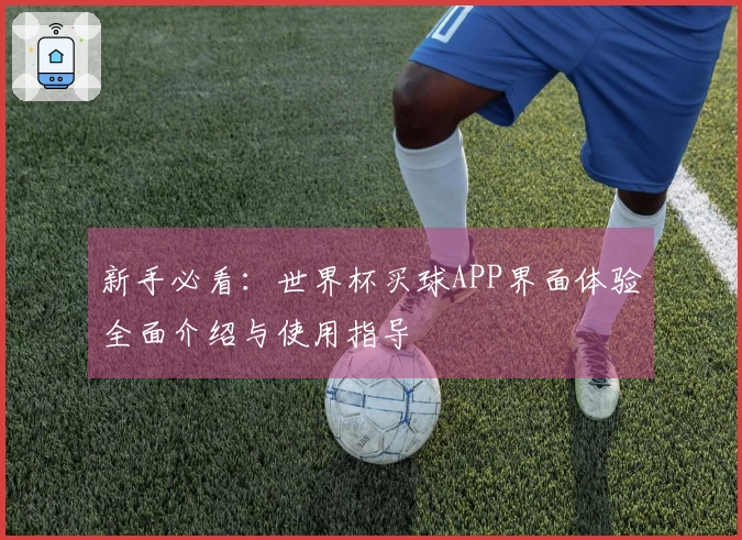 新手必看：世界杯买球APP界面体验全面介绍与使用指导